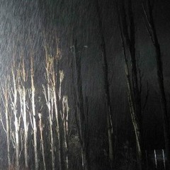 Tree at Experimentik