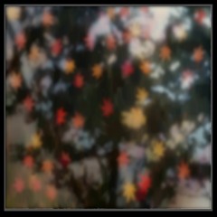 George Walter - Okay (twistedturns remix)