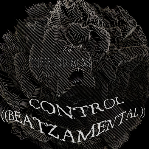 CONTROL ((BEATZAMENTAL))