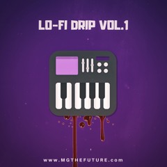 Lo-Fi Drip Vol. 1 - Sample Pack Demo 01