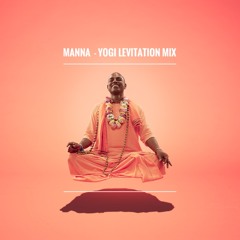 Yogi Levitation Mix