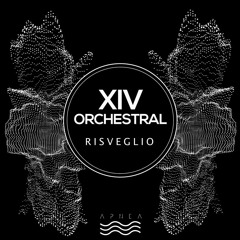 XIV Orchestral - Risveglio (Original Mix)