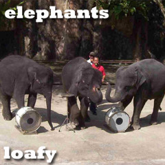 Elephants