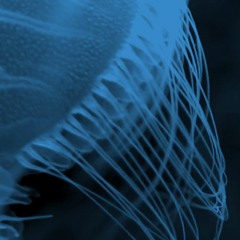 Starting To Start ⌾