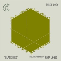 Tyler Coey - Black Bird (Mata Jones Remix)[Conscious Records] preview Out 18.06.2018