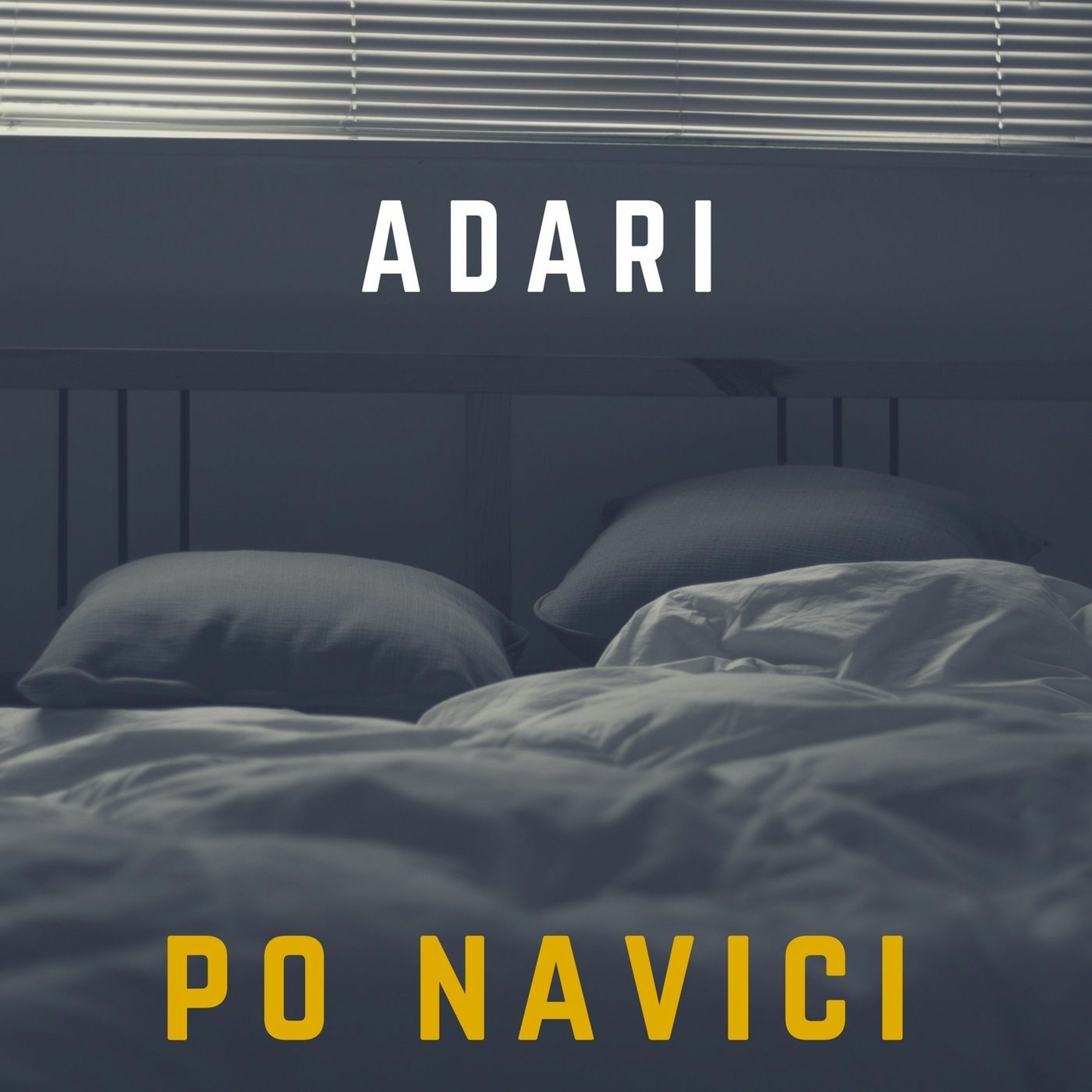Adari