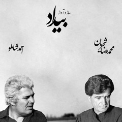 Shamloo and Shajarian - Bidad | محمدرضا شجریان و احمد شاملو - بیداد