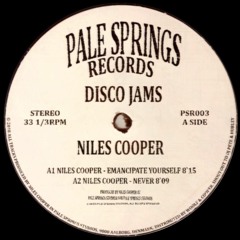 PREMIERE: Niles Cooper - Never [Pale Springs Records]