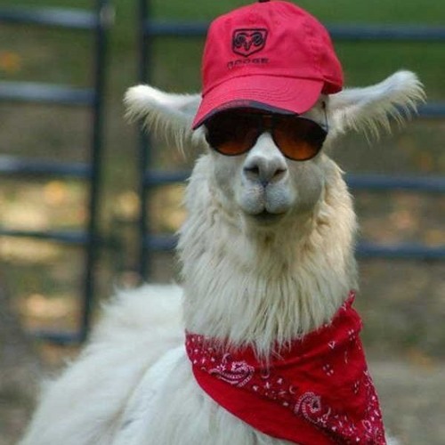 Mandragora, Jacob - Plot-Twist