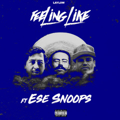 Feeling Like Remix Laylow ftEseSnoops