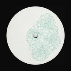 Sensu 003 - Rudolf C - Endoplazm EP