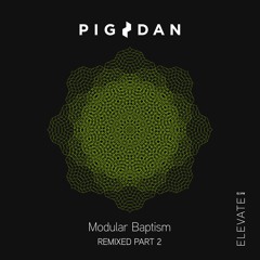 ELV96PT2 1. Pig&Dan - Modular Baptism - Anna V. Remix