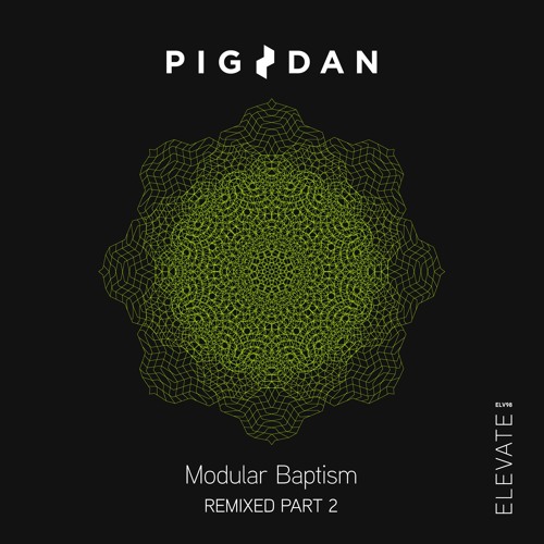 ELV96PT2 1. Pig&Dan - Modular Baptism - Anna V. Remix
