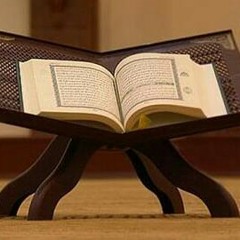 سورة الإنسان - د محمد رفعت