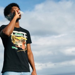 24 (MF Doom x RZA - Books of War Freestyle)