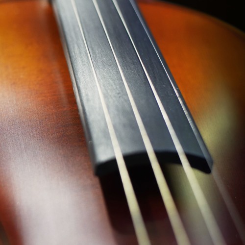 Demo Songs Session Strings 2