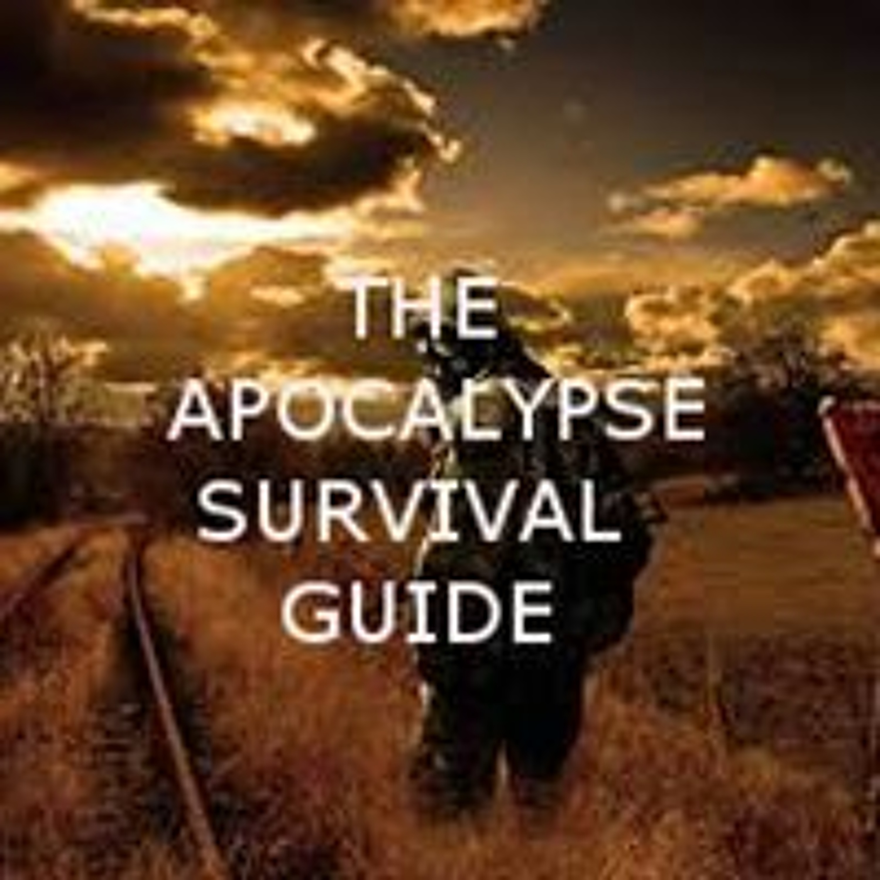 Episode 26 Zombies