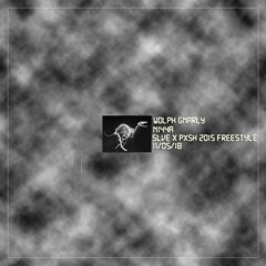 N144A X SLVE 2015 FREESTYLE w/ ThePxshMagazine