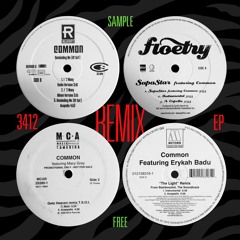 Floetry feat. Common - Supa Star | 3412er Sample Free RMX