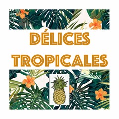 Délices Tropicales ﻿vol. I