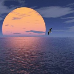 The Deep End
