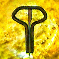 VASKOS feat MidiPunk - Postero Insigni