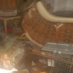 release (feat. trashfox)