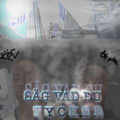 Säg vad du tycker - a6 gitti, RëC