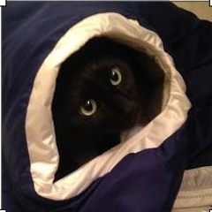 Abby's songs(remixes)