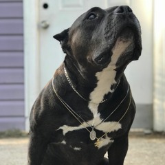 CRACKER IN THE CADDY