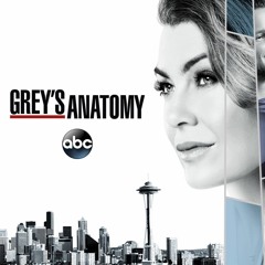 Regina Price - We Come Together [GREYS ANATOMY - 14X23 - SOUNDTRACK]