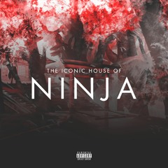 Xeraph - Red Ninja (House Mix)