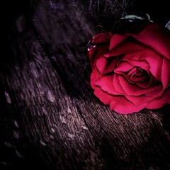 Slippin (prod. beatsbytristan)