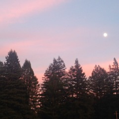 Full Moon Serenity