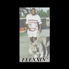 FLEXXIN' [prod. Jouce Money]