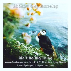 Air Zaïre & dj ShmeeJay - Aint' No Big Thing - 2018-05-11