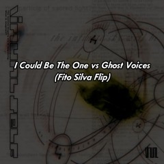 I Could Be The One vs Ghost Voices (Fito Silva Flip) FREE DOWNLOAD