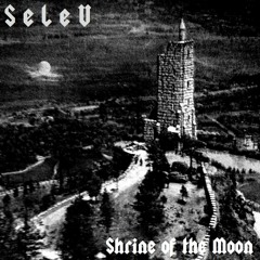 Abyss (Guitar + Organs)