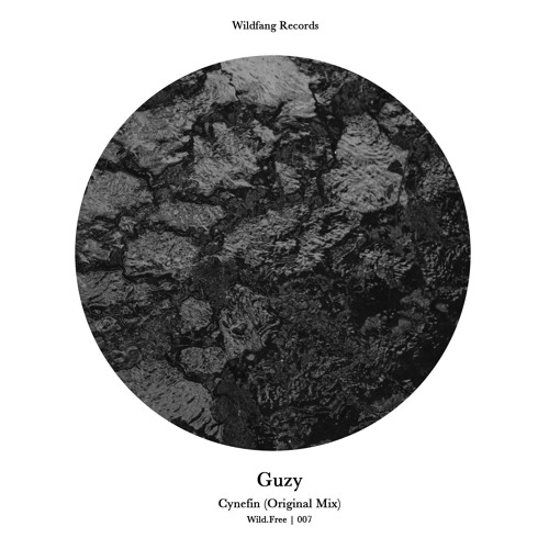 Wild.Free | 007 | GUZY | Cynefin [Free Download]