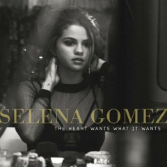 Selena Gomez - Back to you ( Oblivious Sound Remix )(Free Download )