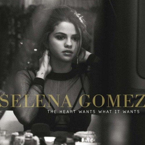 Selena Gomez - Back to you ( Oblivious Sound Remix )(Free Download )