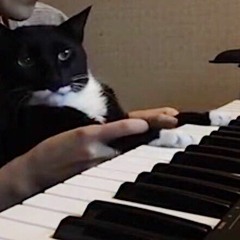 Do Ya Like (remix)