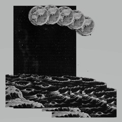 I clap my hands and to the echo day dawns the summer moon