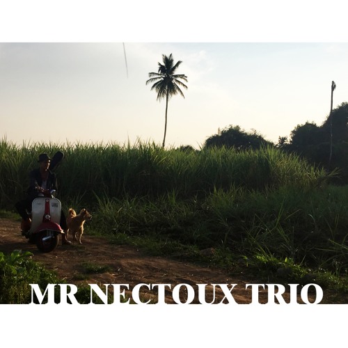Mr Nectoux Trio - Liberté - Live À La Déviation