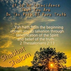 EXODUS 15:11 WHO IS LIKE YOU