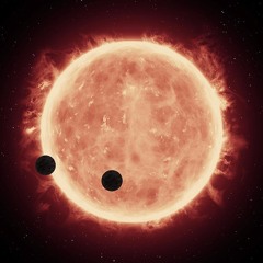 The Fractal Universe II