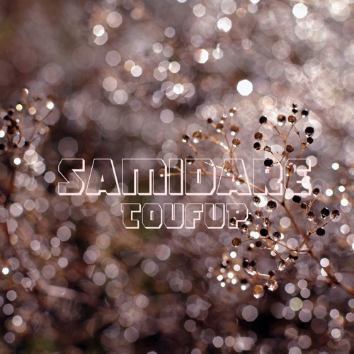 Samidare - ToufuP