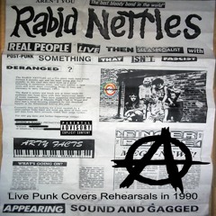 Rabid Nettles - Punk Covers 1990