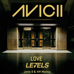 Avicii Vs Kristine Blond - Love Levels (Jamie B & Kritikal Mass Remix)Free Download