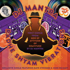 Radhe Shyam Vibrations (Feat. Dave Stringer and John DeKadt)